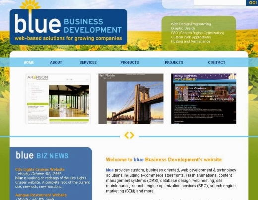 Blue Business Development LLC in New York City, New York, United States - #1 Photo of Point of interest, Establishment