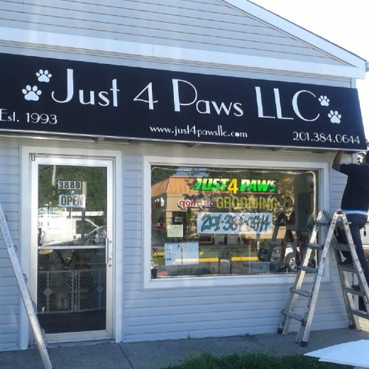 Just 4 Paws LLC in Bergenfield City, New Jersey, United States - #1 Photo of Point of interest, Establishment, Store
