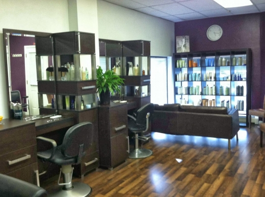 Salon Nouveau 2 LLC in Hasbrouck Heights City, New Jersey, United States - #1 Photo of Point of interest, Establishment, Beauty salon, Hair care