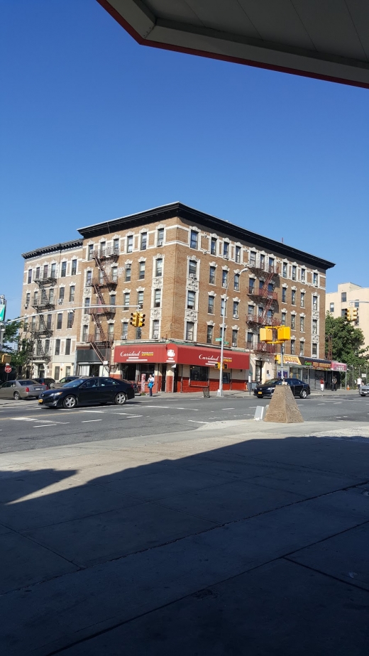 Jackson Avenue Family Residence in Bronx City, New York, United States - #1 Photo of Point of interest, Establishment