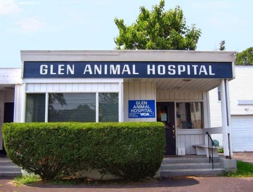 Glen Animal Hospital in Sea Cliff City, New York, United States - #1 Photo of Point of interest, Establishment, Veterinary care