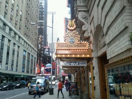 The Lyric Theatre in New York City, New York, United States - #1 Photo of Point of interest, Establishment