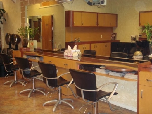 Cutting Edge Salon Inc in Albertson City, New York, United States - #3 Photo of Point of interest, Establishment, Beauty salon, Hair care
