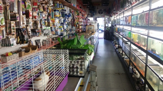 J & J Pet Shop in Bronx City, New York, United States - #3 Photo of Point of interest, Establishment, Store, Pet store