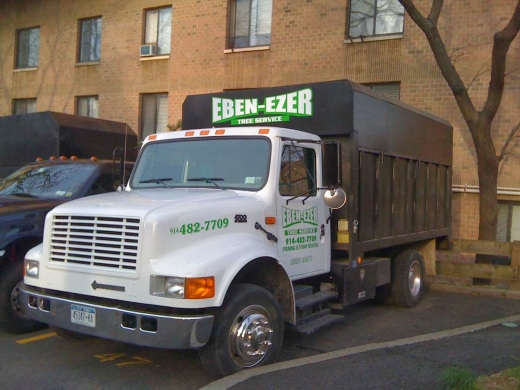 Eben-Ezer Tree Service in Yonkers City, New York, United States - #3 Photo of Point of interest, Establishment, Store, Home goods store