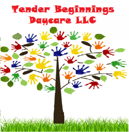 Tender Beginnings Daycare LLC in Queens City, New York, United States - #4 Photo of Point of interest, Establishment