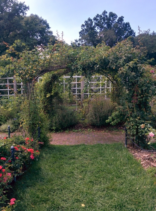 Cranford Rose Garden in Brooklyn City, New York, United States - #2 Photo of Point of interest, Establishment, Park