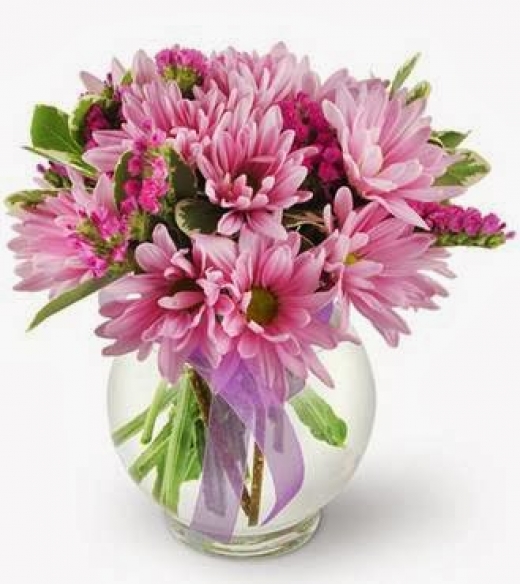 Photo by <br />
<b>Notice</b>:  Undefined index: user in <b>/home/www/activeuser/data/www/vaplace.com/core/views/default/photos.php</b> on line <b>128</b><br />
. Picture for New Rochelle Florist in New Rochelle City, New York, United States - Point of interest, Establishment, Store, Florist