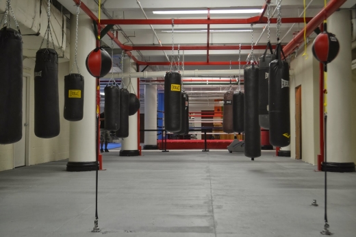 Mendez Boxing in New York City, New York, United States - #1 Photo of Point of interest, Establishment, Health, Gym