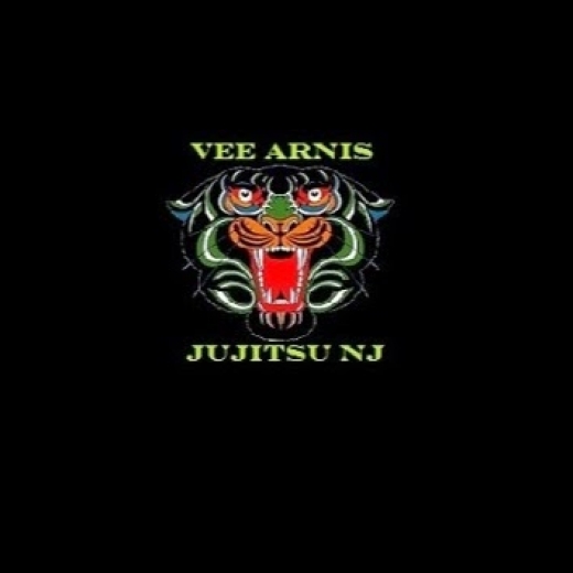 Photo by <br />
<b>Notice</b>:  Undefined index: user in <b>/home/www/activeuser/data/www/vaplace.com/core/views/default/photos.php</b> on line <b>128</b><br />
. Picture for Vee Arnis JuJitsu New Jersey in Bayonne City, New Jersey, United States - Point of interest, Establishment, Health
