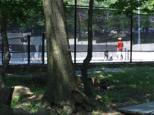 Haffen Park Tennis Courts in Bronx City, New York, United States - #1 Photo of Point of interest, Establishment