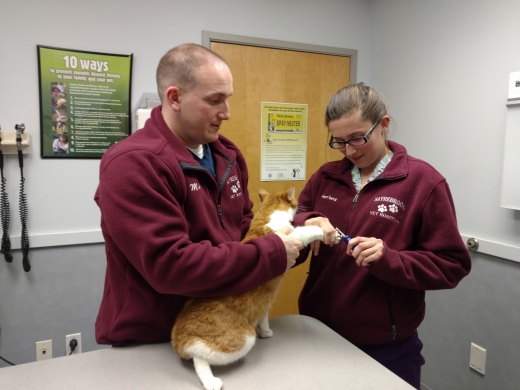 Photo by <br />
<b>Notice</b>:  Undefined index: user in <b>/home/www/activeuser/data/www/vaplace.com/core/views/default/photos.php</b> on line <b>128</b><br />
. Picture for Sayrebrook Veterinary Hospital PA in Sayreville City, New Jersey, United States - Point of interest, Establishment, Health, Veterinary care