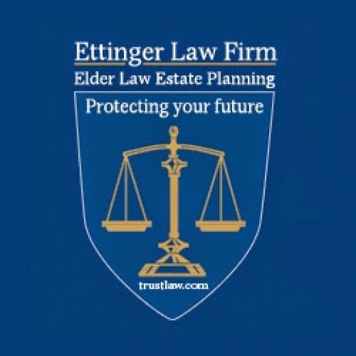 Ettinger Law Firm in North New Hyde Park City, New York, United States - #2 Photo of Point of interest, Establishment, Lawyer