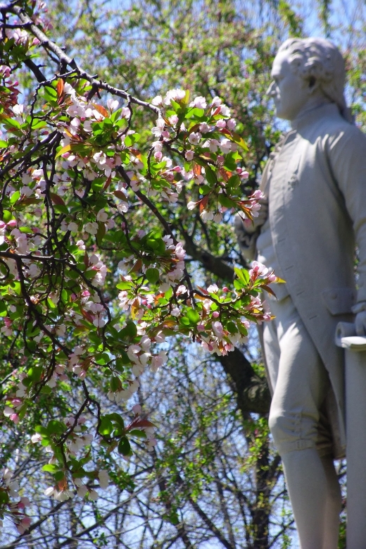 Photo by JecaSmitty for Alexander Hamilton Statue