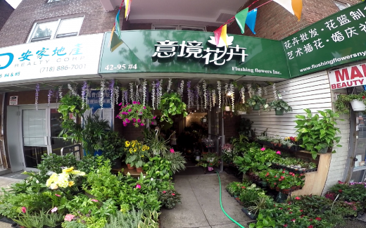 Photo by Flushing Flowers for Flushing Flowers