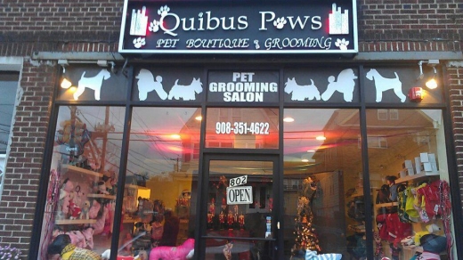Quibu's Paws in Elizabeth City, New Jersey, United States - #2 Photo of Point of interest, Establishment, Store, Pet store