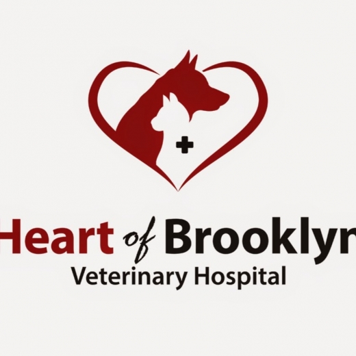 Photo by Heart Of Brooklyn Veterinary Hospital for Heart Of Brooklyn Veterinary Hospital