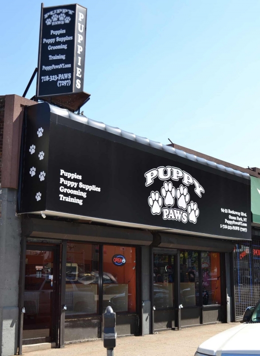 Puppy Paws in Queens City, New York, United States - #1 Photo of Point of interest, Establishment, Store, Pet store