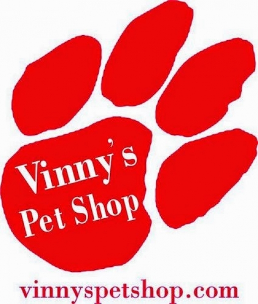 Photo by <br />
<b>Notice</b>:  Undefined index: user in <b>/home/www/activeuser/data/www/vaplace.com/core/views/default/photos.php</b> on line <b>128</b><br />
. Picture for Vinny's Pet Shop in Brooklyn City, New York, United States - Point of interest, Establishment, Store, Pet store