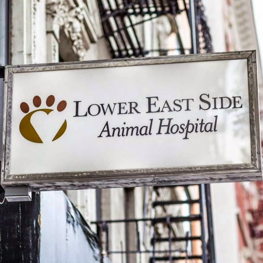 Lower East Side Animal Hospital in New York City, New York, United States - #1 Photo of Point of interest, Establishment, Veterinary care