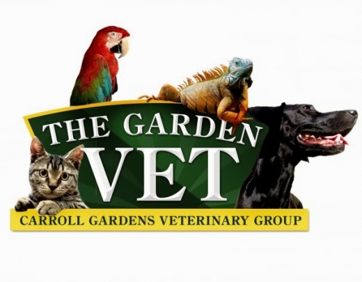 Photo by Carroll Gardens Vet Group PC for Carroll Gardens Vet Group PC
