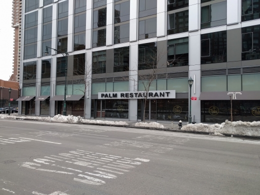 Palm in New York City, New York, United States - #1 Photo of Restaurant, Food, Point of interest, Establishment, Bar