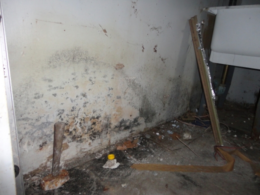 Photo by <br />
<b>Notice</b>:  Undefined index: user in <b>/home/www/activeuser/data/www/vaplace.com/core/views/default/photos.php</b> on line <b>128</b><br />
. Picture for Mold & Water Damage Service Specialists in Montclair City, New Jersey, United States - Point of interest, Establishment