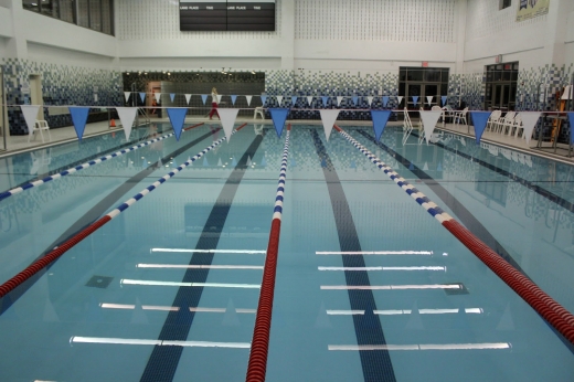 Avantis Swimming Academy in Staten Island City, New York, United States - #1 Photo of Point of interest, Establishment, Health
