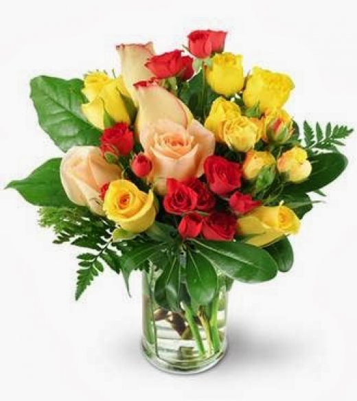 Photo by <br />
<b>Notice</b>:  Undefined index: user in <b>/home/www/activeuser/data/www/vaplace.com/core/views/default/photos.php</b> on line <b>128</b><br />
. Picture for Amendola Florist By Lou in Franklin Square City, New York, United States - Point of interest, Establishment, Store, Florist