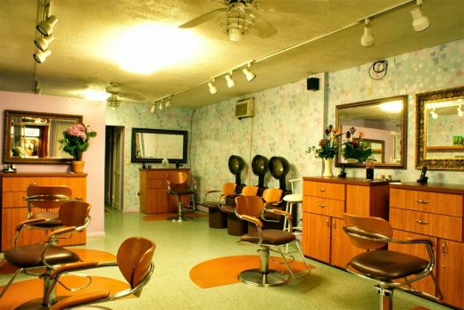 Fabulous Hair Braiding Salon Llc in Bayonne City, New Jersey, United States - #1 Photo of Point of interest, Establishment, Beauty salon, Hair care