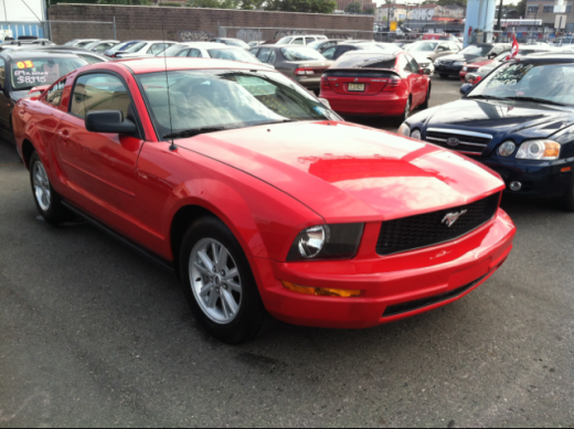 International Motor Group LLC in Newark City, New Jersey, United States - #4 Photo of Point of interest, Establishment, Car dealer, Store