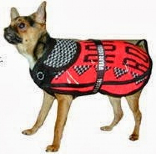 Photo by <br />
<b>Notice</b>:  Undefined index: user in <b>/home/www/activeuser/data/www/vaplace.com/core/views/default/photos.php</b> on line <b>128</b><br />
. Picture for Wraprascal Dog Coats in Staten Island City, New York, United States - Point of interest, Establishment, Store, Pet store