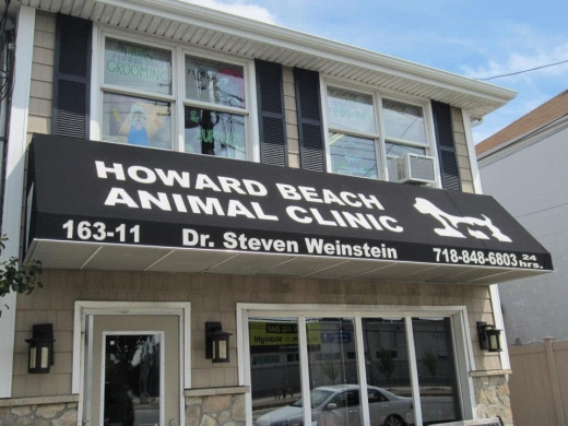 Howard Beach Animal Clinic PC in Howard Beach City, New York, United States - #3 Photo of Point of interest, Establishment, Veterinary care