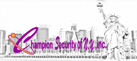 Champion Security of Ny Inc in Staten Island City, New York, United States - #4 Photo of Point of interest, Establishment, Store, Electronics store