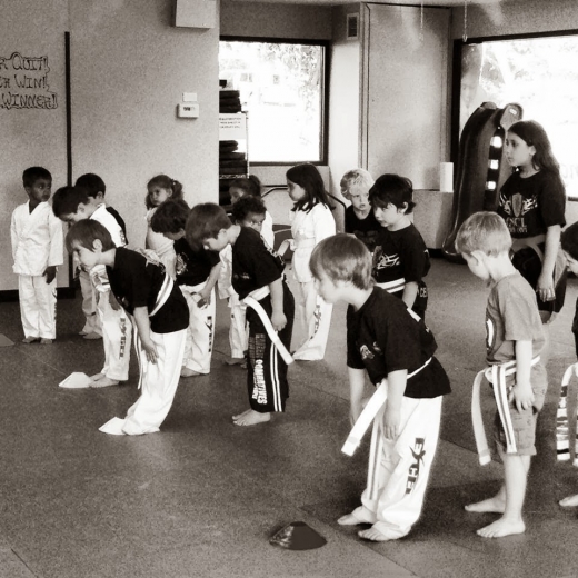 Photo by <br />
<b>Notice</b>:  Undefined index: user in <b>/home/www/activeuser/data/www/vaplace.com/core/views/default/photos.php</b> on line <b>128</b><br />
. Picture for Excel Martial Arts in Larchmont City, New York, United States - Point of interest, Establishment, Health, Gym