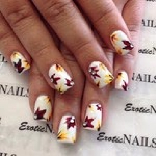 Exotic Nails in West Hempstead City, New York, United States - #1 Photo of Point of interest, Establishment, Health, Spa, Beauty salon, Hair care