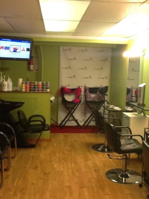 Youngstar Salon in New York City, New York, United States - #2 Photo of Point of interest, Establishment, Beauty salon, Hair care