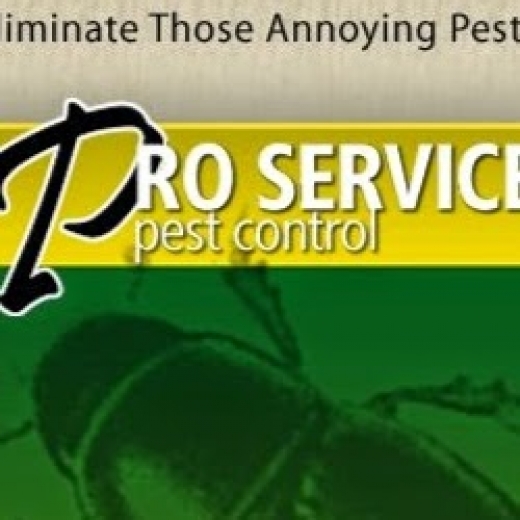 Pro Service Pest Control All in Springfield Gardens City, New York, United States - #3 Photo of Point of interest, Establishment, Store, Home goods store