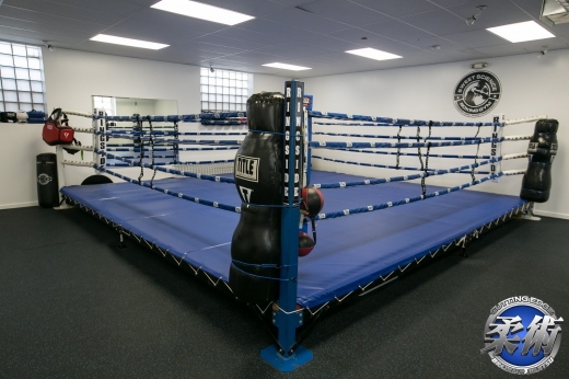 Cutting Edge Brazilian Jiu-Jitsu Academy in Harrison City, New Jersey, United States - #3 Photo of Point of interest, Establishment, Health, Gym