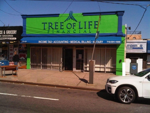 Tree of Life Financial in Flushing City, New York, United States - #1 Photo of Point of interest, Establishment, Finance, Accounting