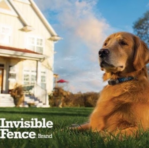 Invisible Fence by Forever Fence in Lincoln Park City, New Jersey, United States - #1 Photo of Point of interest, Establishment