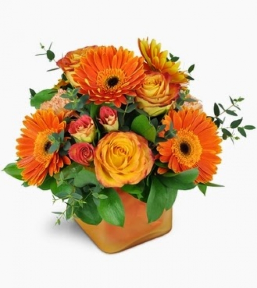 Photo by <br />
<b>Notice</b>:  Undefined index: user in <b>/home/www/activeuser/data/www/vaplace.com/core/views/default/photos.php</b> on line <b>128</b><br />
. Picture for Flowers By Wild Orchid in Bronx City, New York, United States - Point of interest, Establishment, Store, Florist