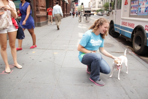 Swifto Dog Walking in New York City, New York, United States - #4 Photo of Point of interest, Establishment