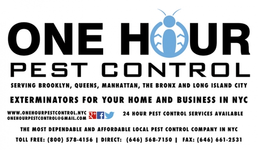 Photo by One Hour Pest Control for One Hour Pest Control