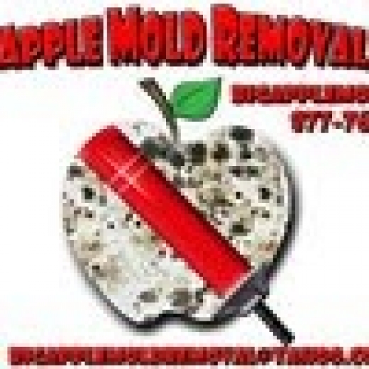 Big Apple Mold Removal in Lawrence City, New York, United States - #4 Photo of Point of interest, Establishment, General contractor, Laundry
