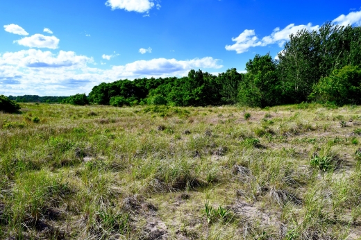 Great Kills Beach in New York City, New York, United States - #2 Photo of Point of interest, Establishment, Park