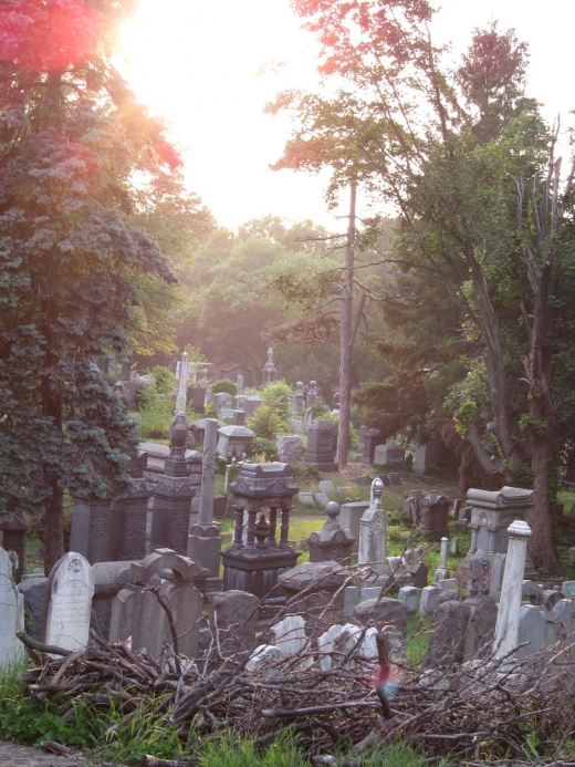 Machpelah Cemetery in Ridgewood City, New York, United States - #4 Photo of Point of interest, Establishment, Cemetery
