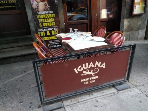 Iguana New York in New York City, New York, United States - #4 Photo of Restaurant, Food, Point of interest, Establishment, Bar, Night club