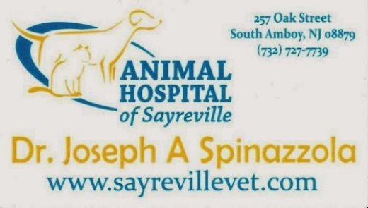 Photo by Animal Hospital of Sayreville for Animal Hospital of Sayreville