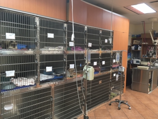 Sheepshead Bay Veterinary Group in Kings County City, New York, United States - #2 Photo of Point of interest, Establishment, Health, Veterinary care